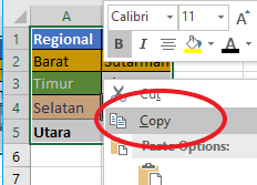 Copy Paste